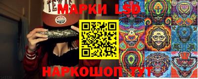 шишки Будённовск