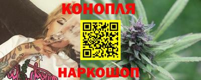 шишки Будённовск