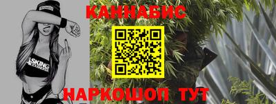 шишки Будённовск