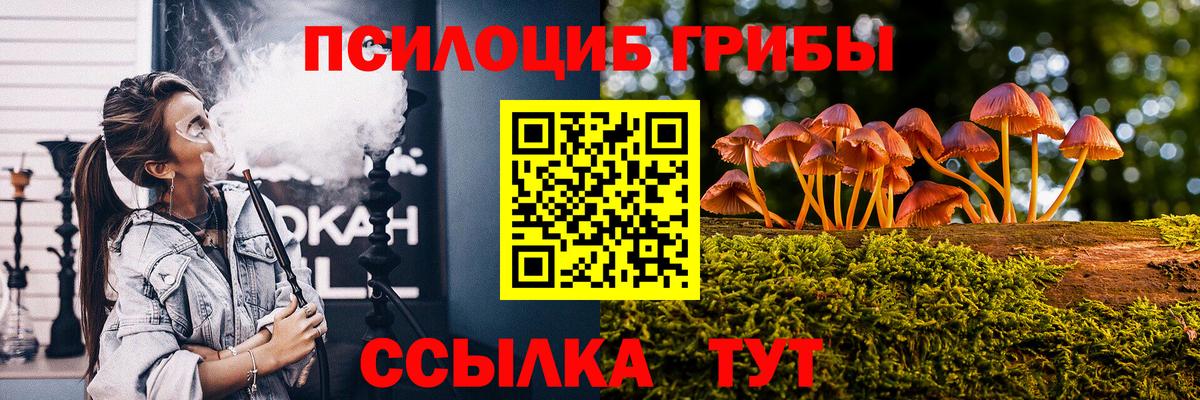 Галлюциногенные грибы Magic Shrooms  купить закладку  Коряжма  Вход с VPN 